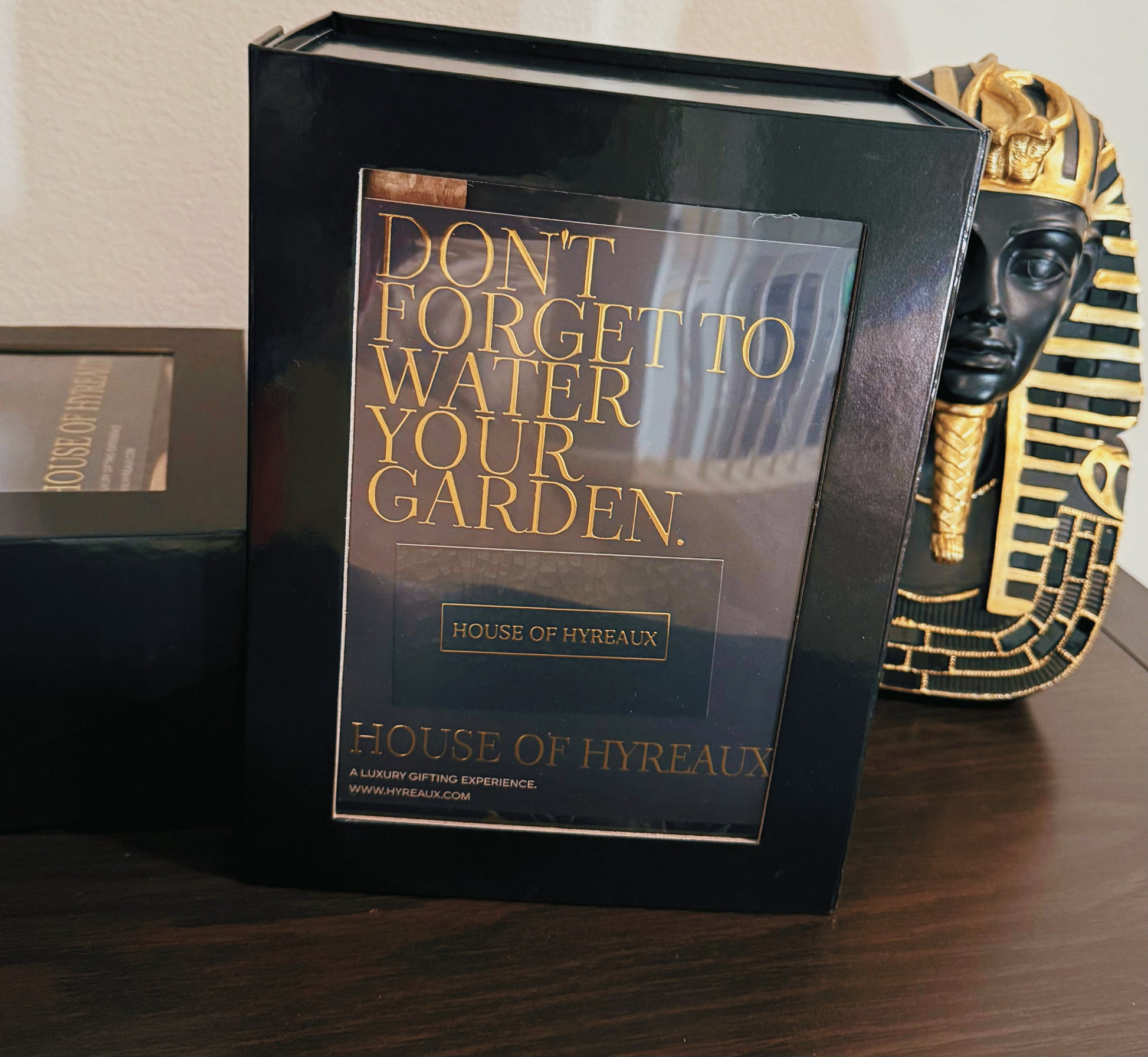 Water Your Garden - Black Box